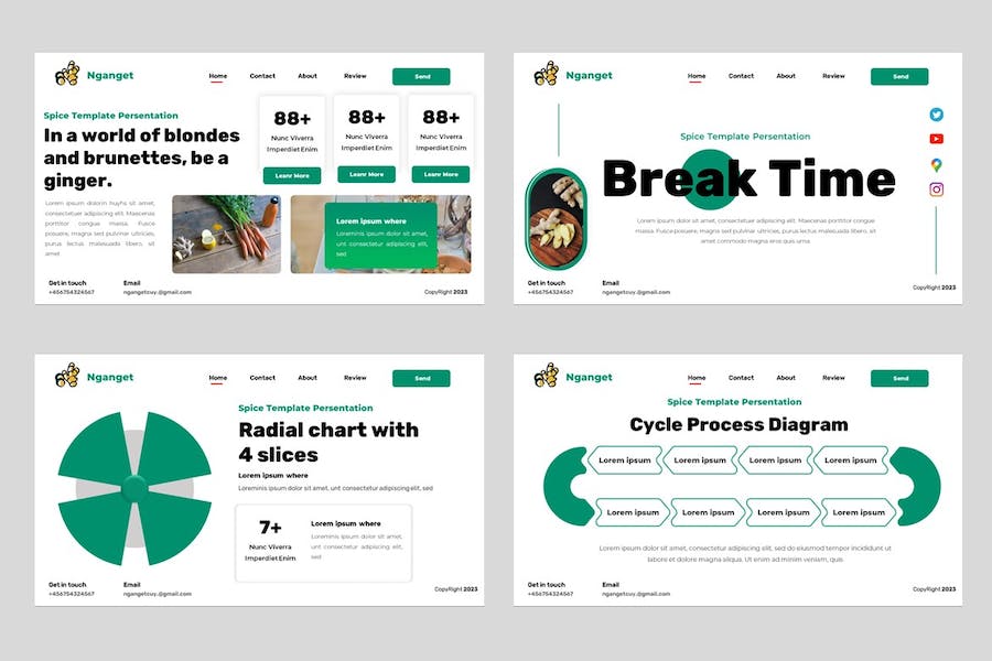 香料食品产品推介宣传营销展示方案PPT模板 - 顶尖PPT