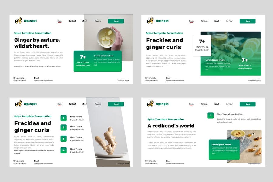 香料食品产品推介宣传营销展示方案PPT模板 - 顶尖PPT