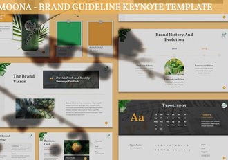 菠萝果汁品牌指南介绍宣传指导方针keynote模板 - 顶尖PPT