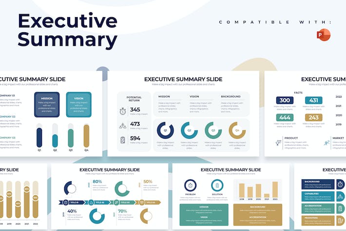 高管总结执行摘要报告信息图表PPT模板 - 顶尖PPT