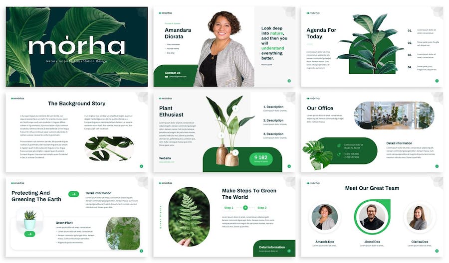 大自然植物介绍PPT模板 - 顶尖PPT