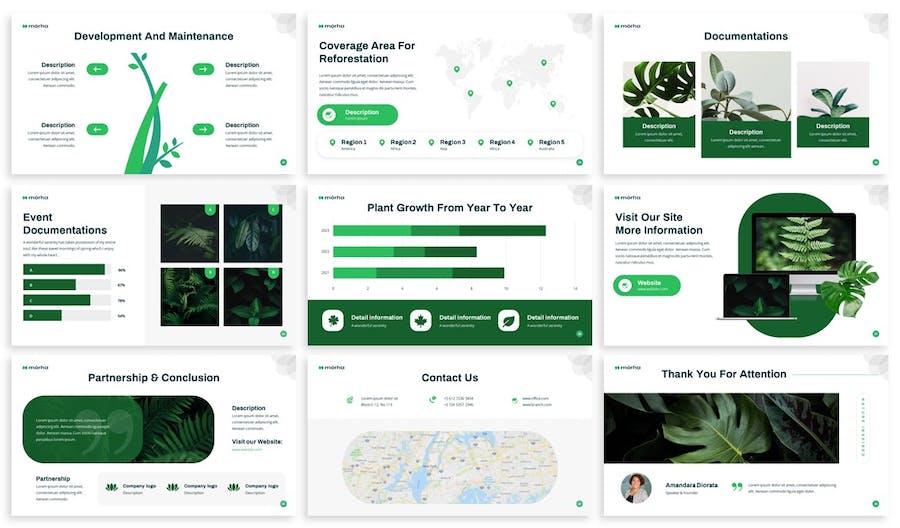 大自然植物介绍PPT模板 - 顶尖PPT