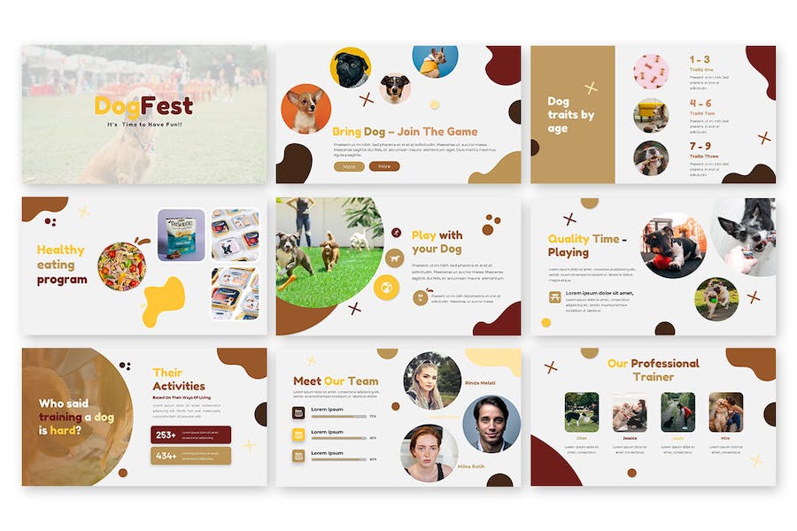 宠物行业数据分析keynote模板 - 顶尖PPT