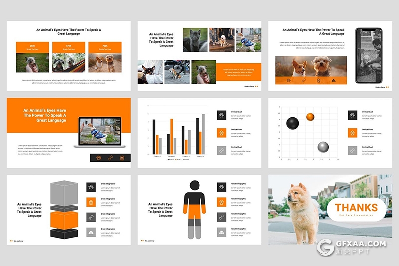 36页宠物饲养宠物护理行业宣传介绍PPT模板 - 顶尖PPT