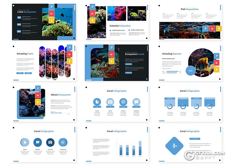 30页深海海底世界海洋生物介绍展示PPT模板5种主题配色 - 顶尖PPT