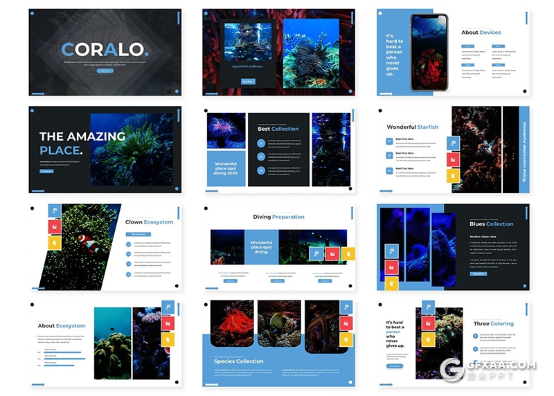 30页深海海底世界海洋生物介绍展示PPT模板5种主题配色 - 顶尖PPT