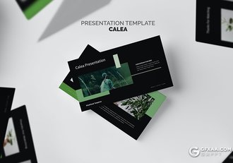 62页国外极简文艺小清新风格PPT模板黑白两种底色 - 顶尖PPT