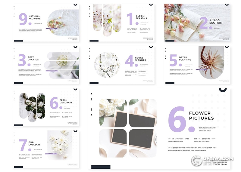 30页鲜花花卉花店行业产品展示分析PPT模板5种主题配色 - 顶尖PPT