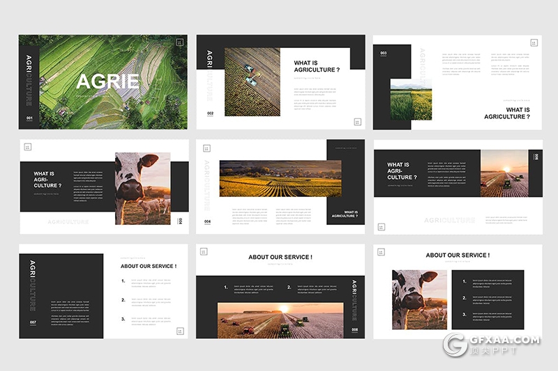 30页极简文艺风格时尚摄影图片展示PPT模板 - 顶尖PPT