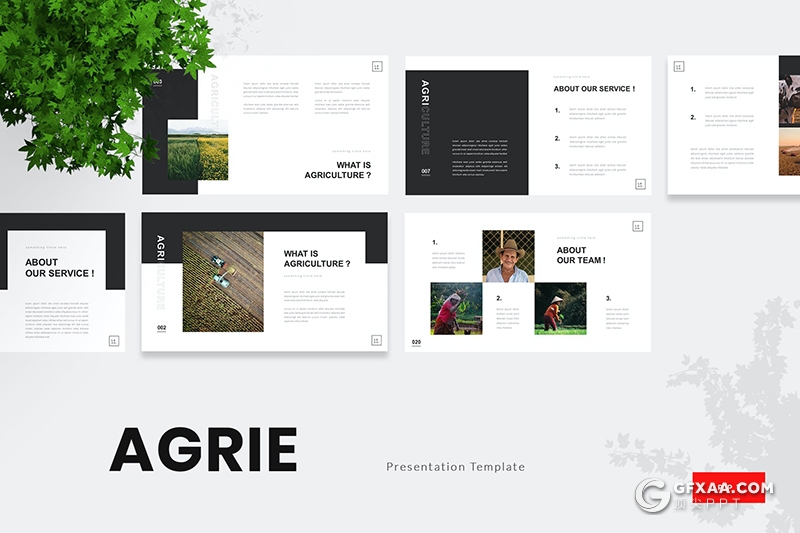 30页极简文艺风格时尚摄影图片展示PPT模板 - 顶尖PPT