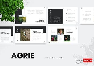 30页极简文艺风格时尚摄影图片展示PPT模板 - 顶尖PPT