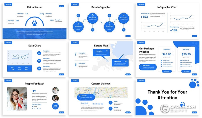 30页宠物护理宠物饲养数据分析项目展示宣传PPT模板3种配色2种尺寸 - 顶尖PPT