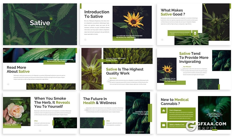 30页国外扁平化植物种类介绍展示PPT模板3种主图配色2种尺寸规格 - 顶尖PPT