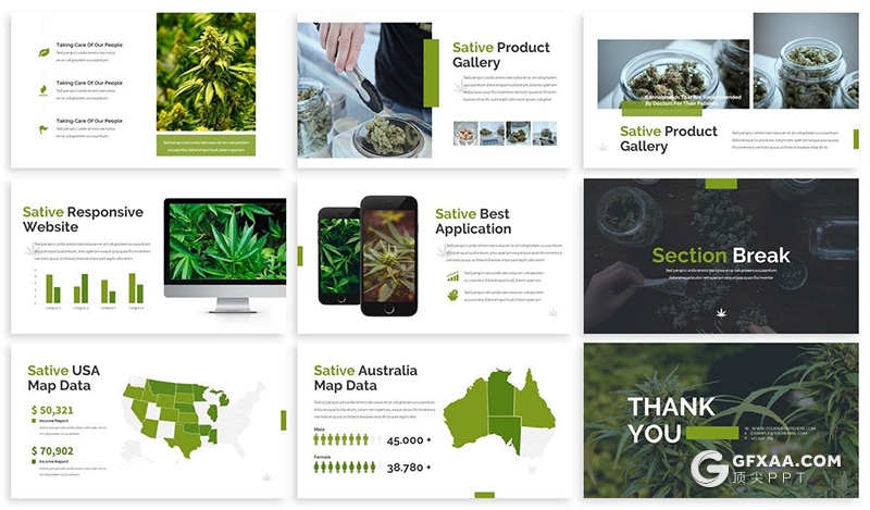 30页国外扁平化植物种类介绍展示PPT模板3种主图配色2种尺寸规格 - 顶尖PPT