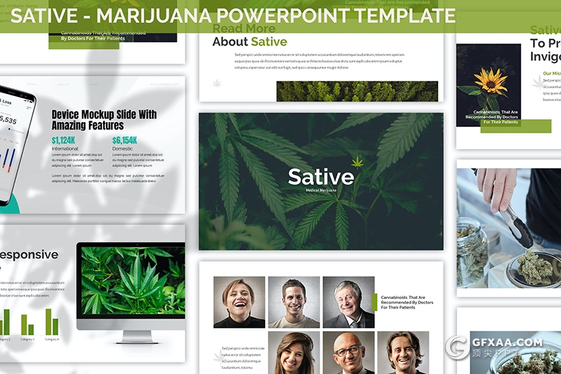 30页国外扁平化植物种类介绍展示PPT模板3种主图配色2种尺寸规格 - 顶尖PPT