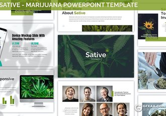 30页国外扁平化植物种类介绍展示PPT模板3种主图配色2种尺寸规格 - 顶尖PPT