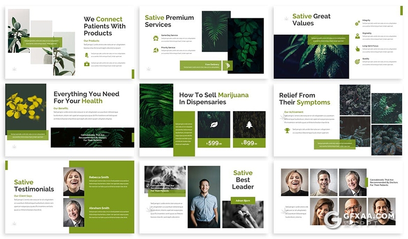 30页国外扁平化植物种类介绍展示PPT模板3种主图配色2种尺寸规格 - 顶尖PPT