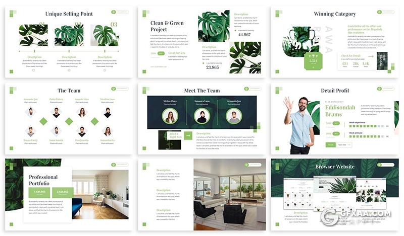 30页国外简约风格热带植物展示介绍PPT模板3种主题配色 - 顶尖PPT