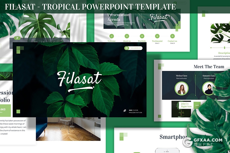 30页国外简约风格热带植物展示介绍PPT模板3种主题配色 - 顶尖PPT