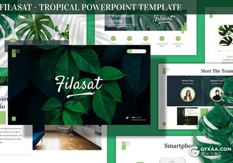 30页国外简约风格热带植物展示介绍PPT模板3种主题配色 - 顶尖PPT