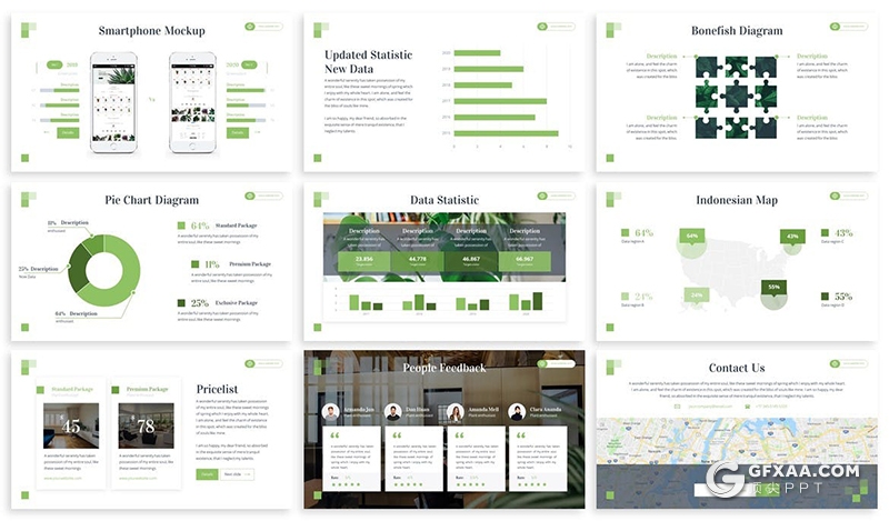 30页国外简约风格热带植物展示介绍PPT模板3种主题配色 - 顶尖PPT