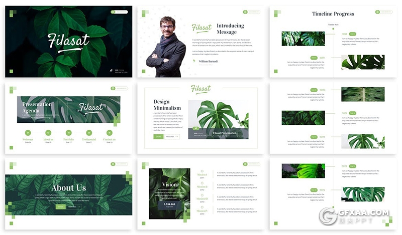 30页国外简约风格热带植物展示介绍PPT模板3种主题配色 - 顶尖PPT