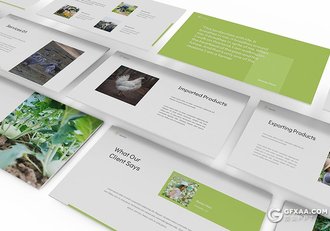 30页扁平化农产宣传介绍农业种植介绍Google slides模板 - 顶尖PPT