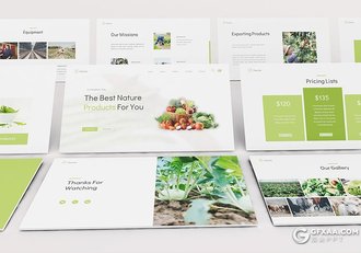 30页扁平化农产宣传介绍农业种植介绍PPT模板 - 顶尖PPT