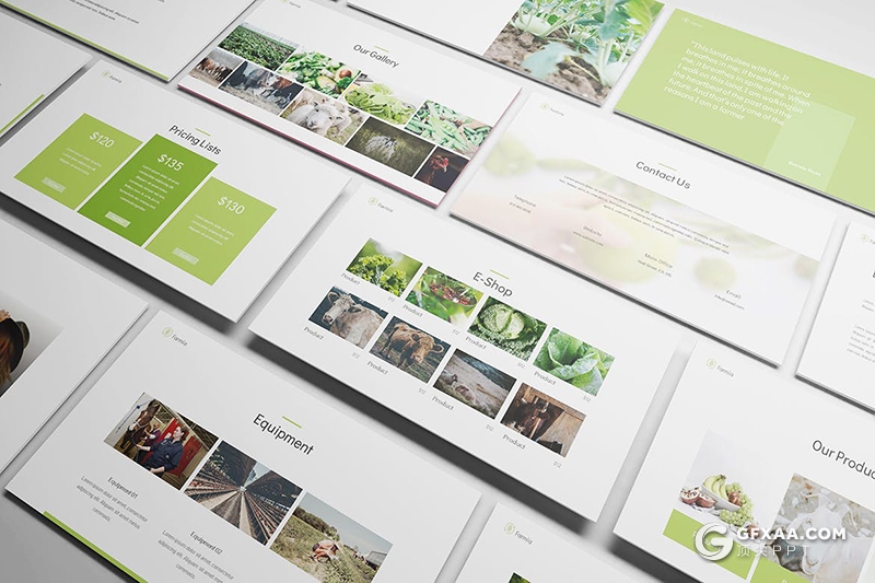 30页扁平化农产宣传介绍农业种植介绍PPT模板 - 顶尖PPT