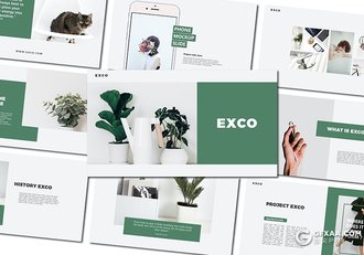 30页国外极简扁平化文艺小清新风格PPT模板 - 顶尖PPT