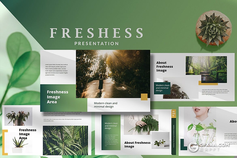 35国外简约风格小清新文艺唯美Google slides模板 - 顶尖PPT