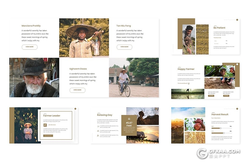 30页农田工作农民工作田地种植介绍展示keynote模板5种主题配色 - 顶尖PPT