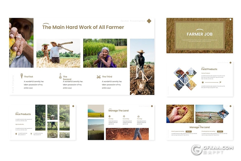 30页农田工作农民工作田地种植介绍展示keynote模板5种主题配色 - 顶尖PPT
