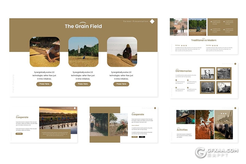 30页农田工作农民工作田地种植介绍展示keynote模板5种主题配色 - 顶尖PPT