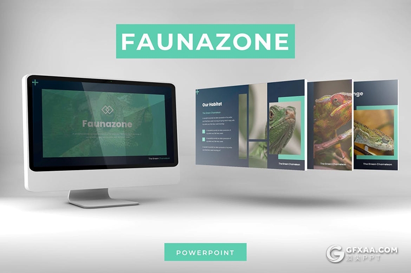 30页两栖动物蜥蜴变色龙介绍动物信息讲解PPT模板5种主题配色 - 顶尖PPT