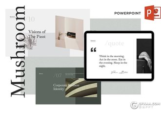 65页简约小清新风格图文混搭多用途PPT模板 - 顶尖PPT