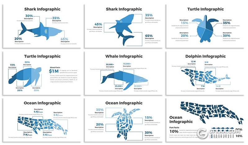 30页海洋生物保护海洋生物图形设计数据分析PPT模板5种主题配色 - 顶尖PPT