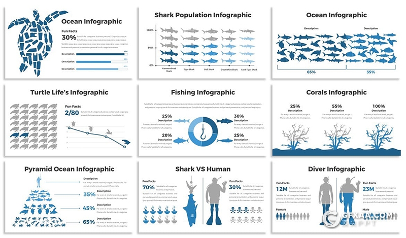 30页海洋生物保护海洋生物图形设计数据分析PPT模板5种主题配色 - 顶尖PPT