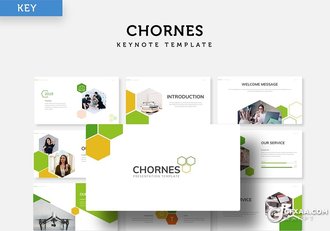 30页创意六边形组合商务风格企业团队介绍工作规划keynote模板5种主题配色 - 顶尖PPT