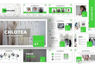 30页国外简约风格企业团队介绍商务工作汇报keynote模板5种主题配色 - 顶尖PPT