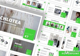 30页国外简约风格企业团队介绍商务工作汇报PPT模板5种主题配色 - 顶尖PPT