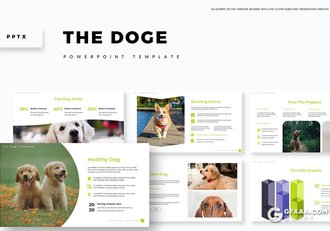 30页扁平化设计风格宠物介绍宠物店促销PPT模板5种主题配色 - 顶尖PPT