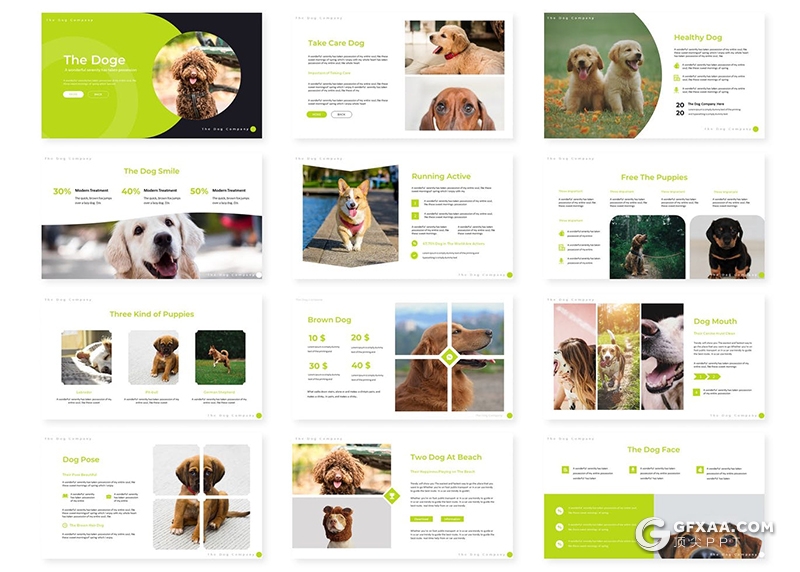 30页扁平化设计风格宠物介绍宠物店促销Google slides模板5种主题配色 - 顶尖PPT