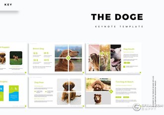30页扁平化设计风格宠物介绍宠物店促销keynote模板5种主题配色 - 顶尖PPT