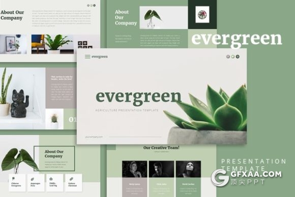 52页绿色简约文艺小清新风格PPT通用模板 - 顶尖PPT