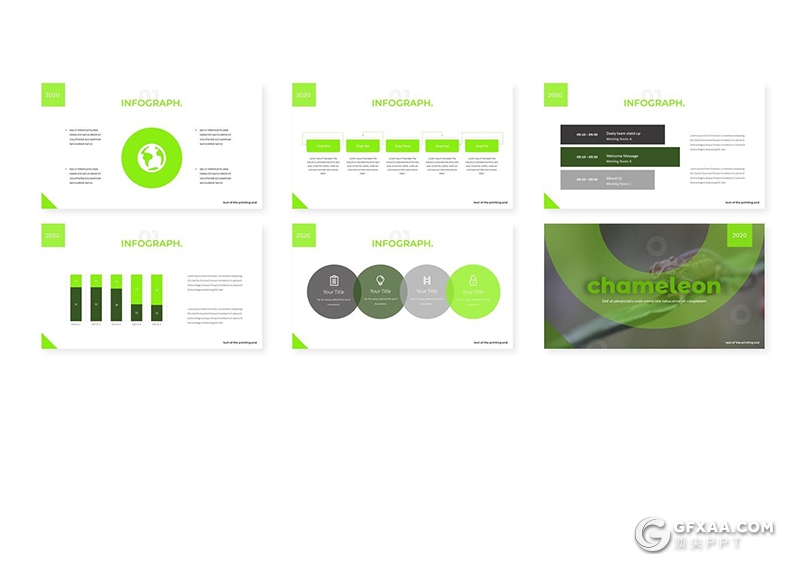 变色龙keynote模板30页爬行动物变色龙介绍展示keynote课件模板 - 顶尖PPT