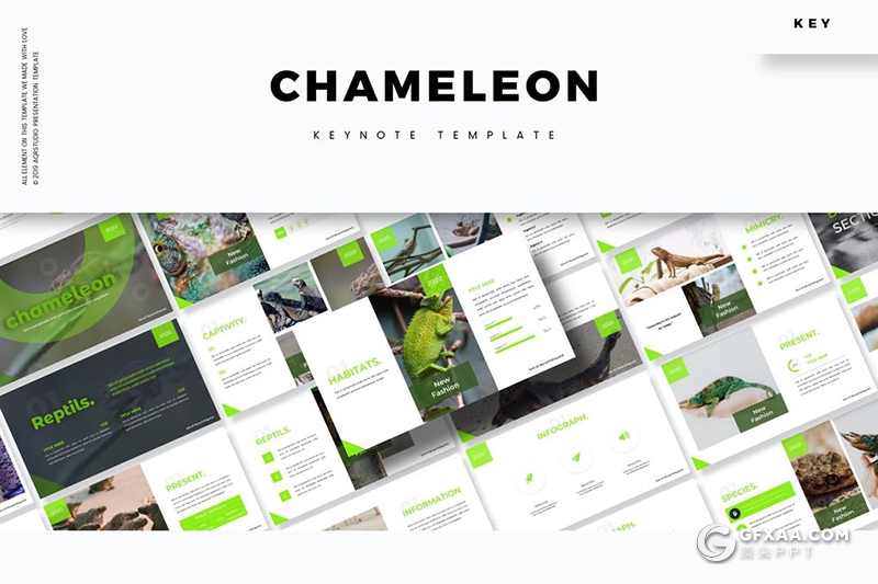变色龙keynote模板30页爬行动物变色龙介绍展示keynote课件模板 - 顶尖PPT