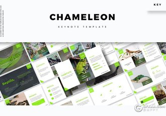 变色龙keynote模板30页爬行动物变色龙介绍展示keynote课件模板 - 顶尖PPT