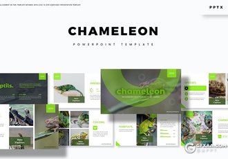 变色龙PPT模板30页爬行动物变色龙介绍展示ppt课件模板 - 顶尖PPT