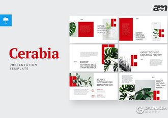 30页红色简约扁平化风格keynote模板 - 顶尖PPT